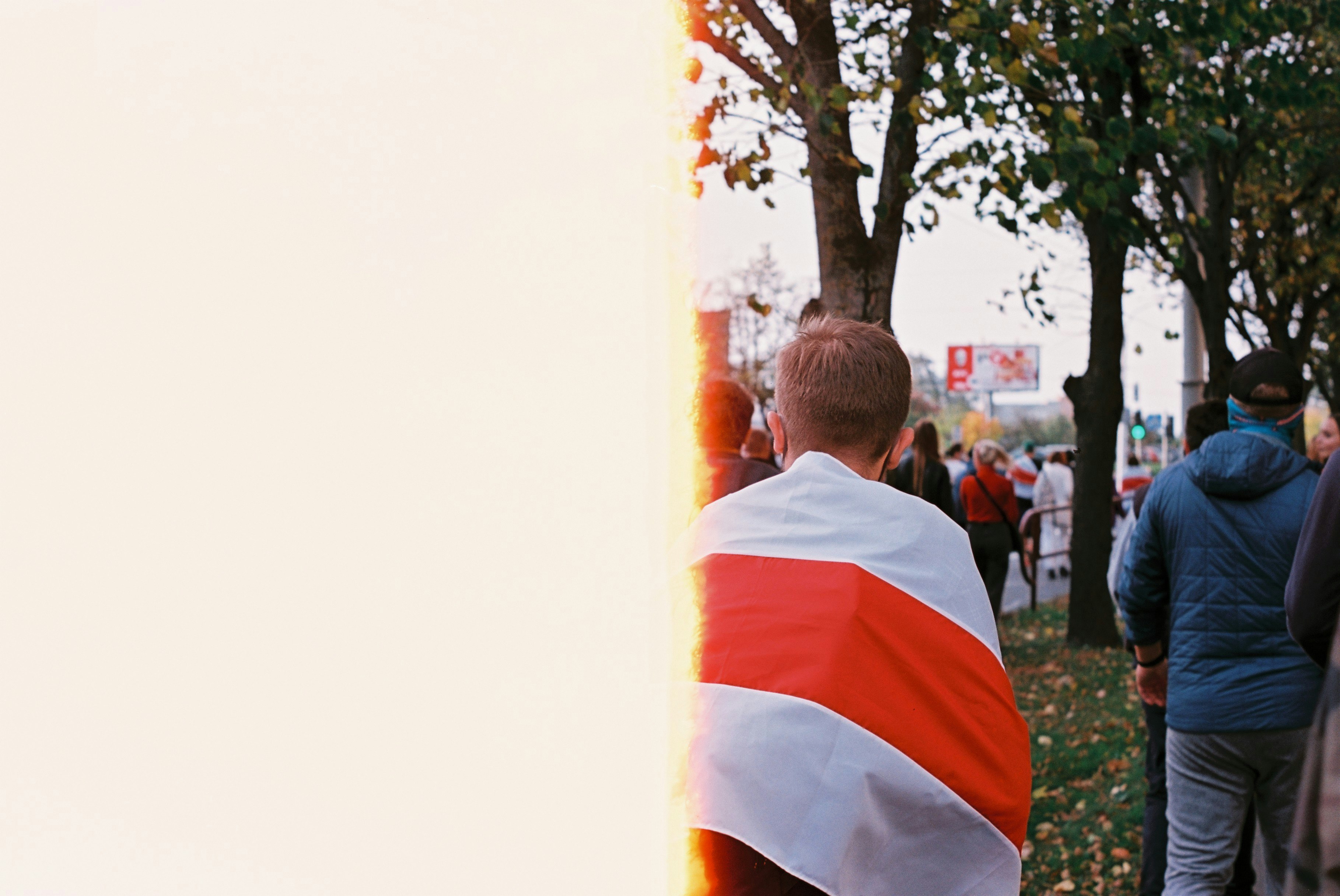 man in blue and white striped shirt standing near green tree during daytime